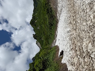 雪渓