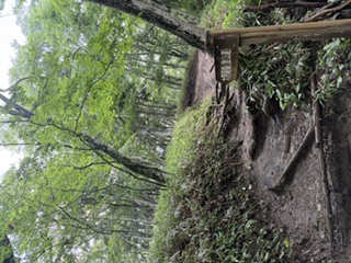 登山口
